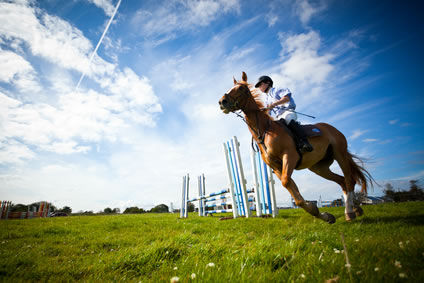 Choose a riding school