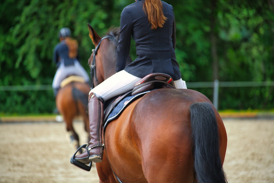 Why you REALLY should take riding lessons before buying a horse