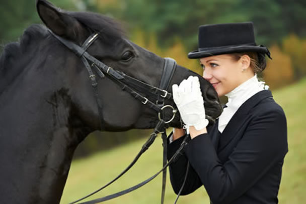 How to train a horse with body language