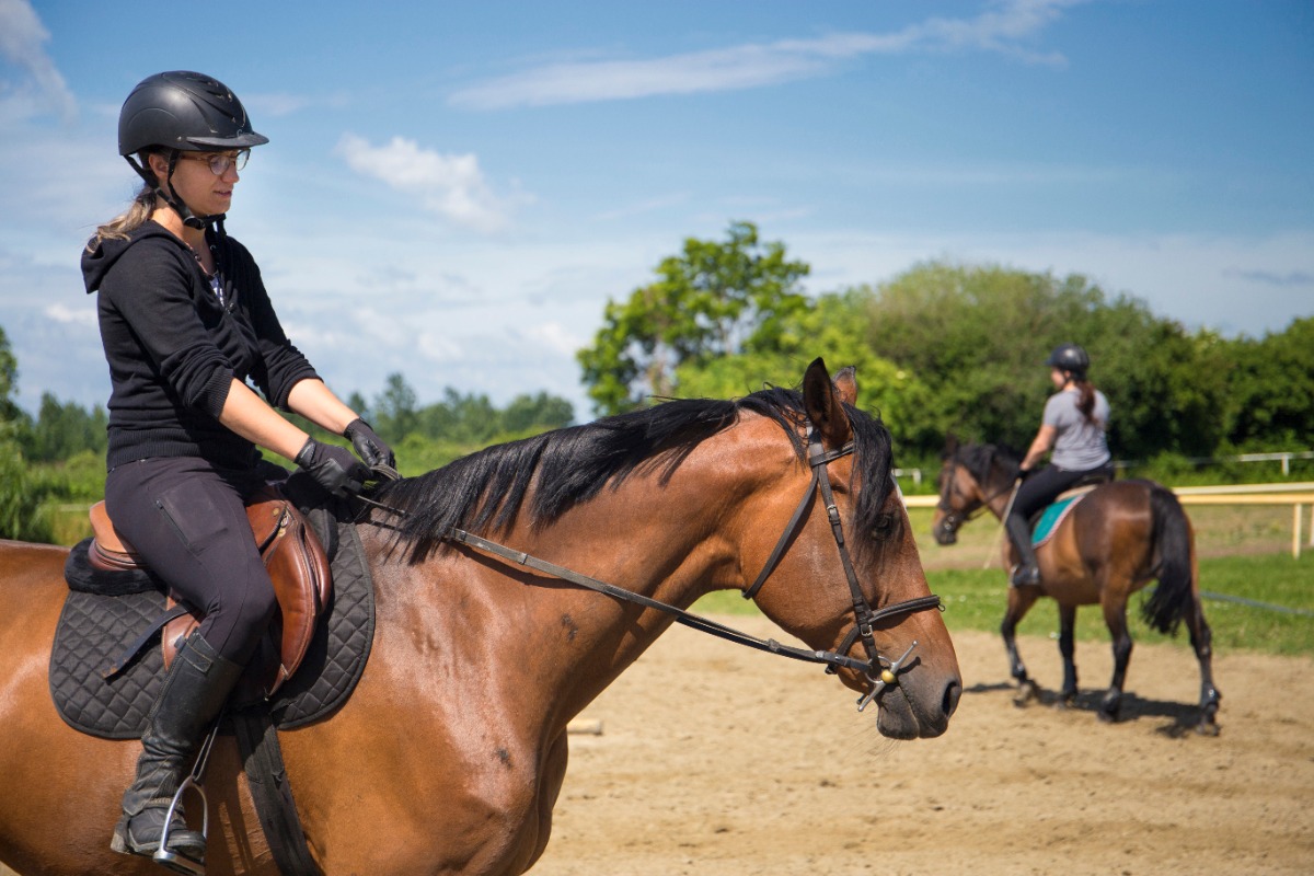 Invest in lessons before buying a horse