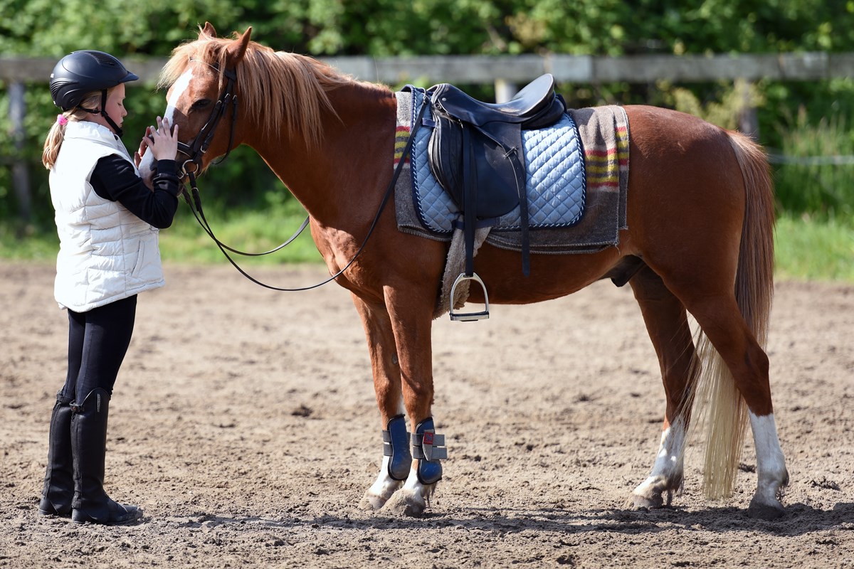 Balance your love of riding with love of life - Horse Riding Article