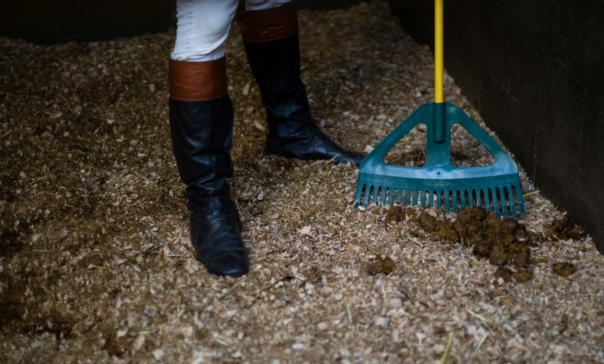 Mucking out - improve the experience - Horse Riding Article