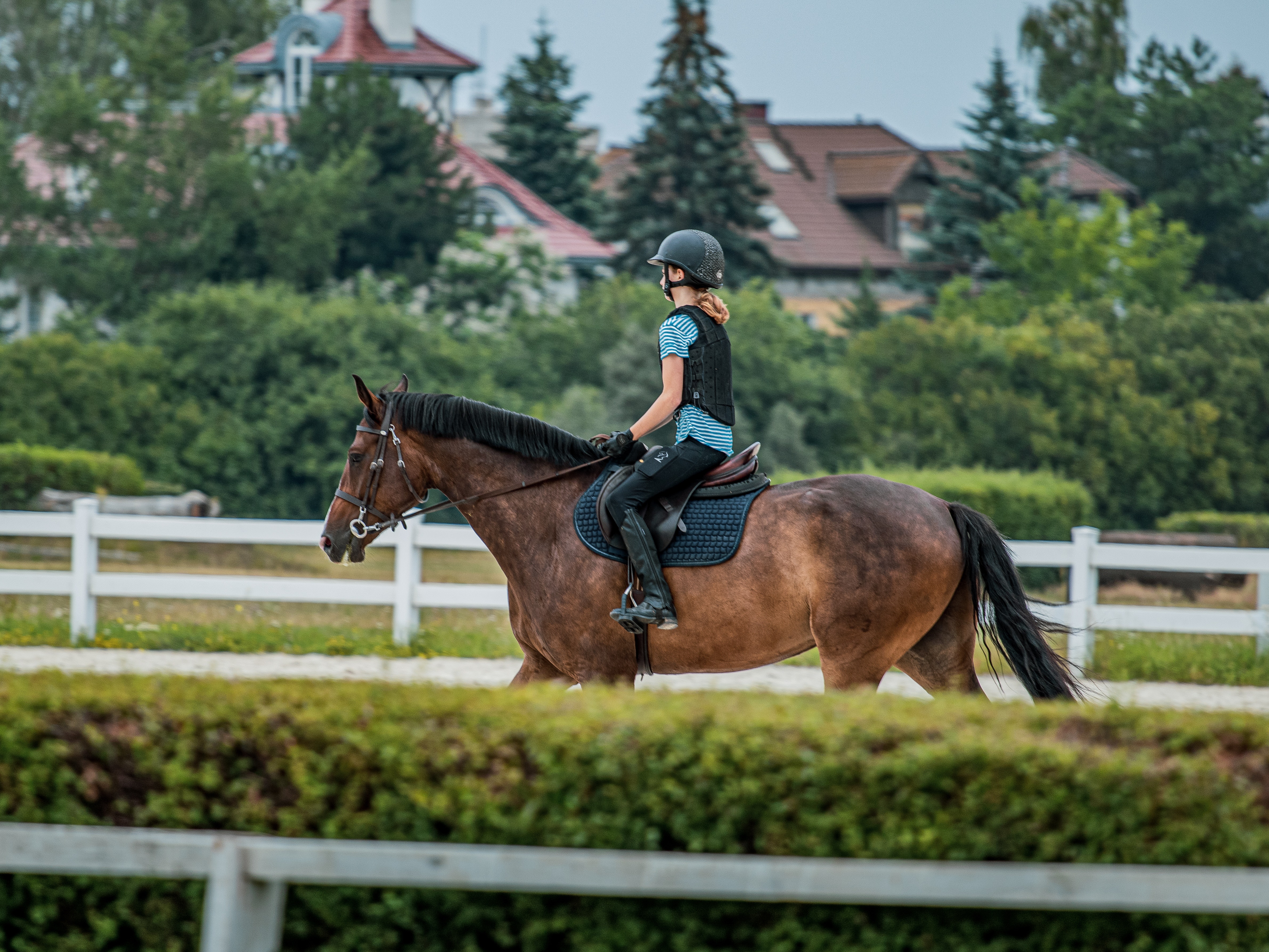 How to choose a riding school