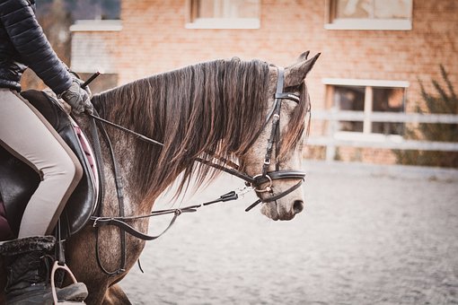 Ickleford Equestrian Centre