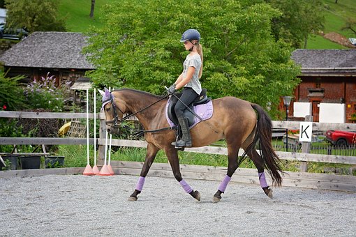 Bradley Mill Riding Centre