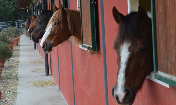 Braemar Equestrian
